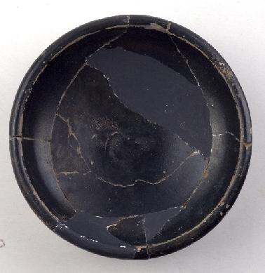 Marian Venceslá Delgado (CERES)